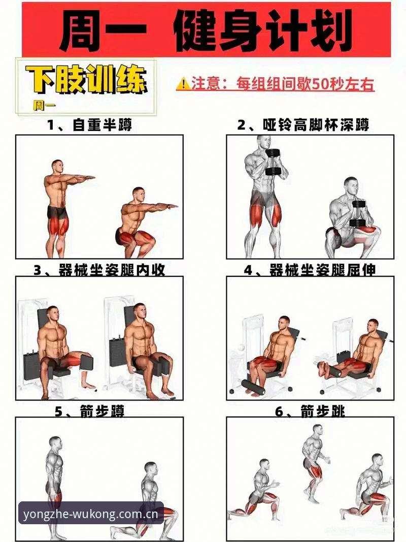 5步掌握悟空体育勇者无畏功能详解：从新手到高手的完整指南